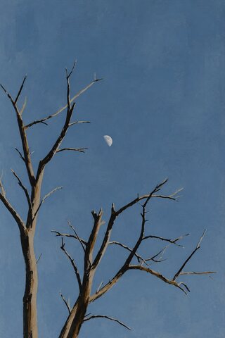 The same branches painted in a quiet, even hand, dark against a dusky blue sky with the moon pale in it.