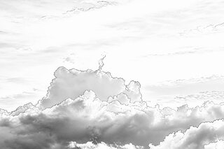 The same cloud in pale grey on white, its every edge traced in a thin dark line.